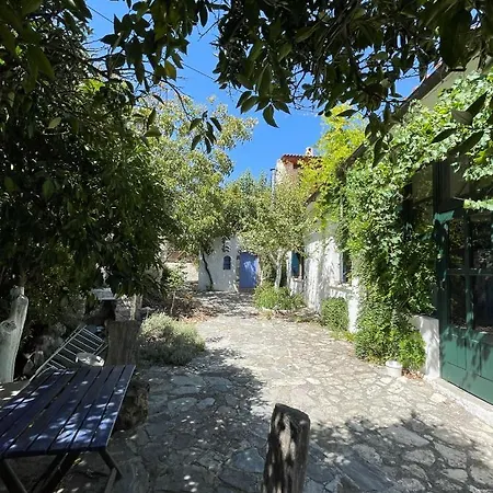 Accetto, Stone House With Pool Ano Asites